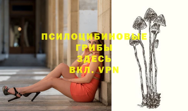 кокс Абинск