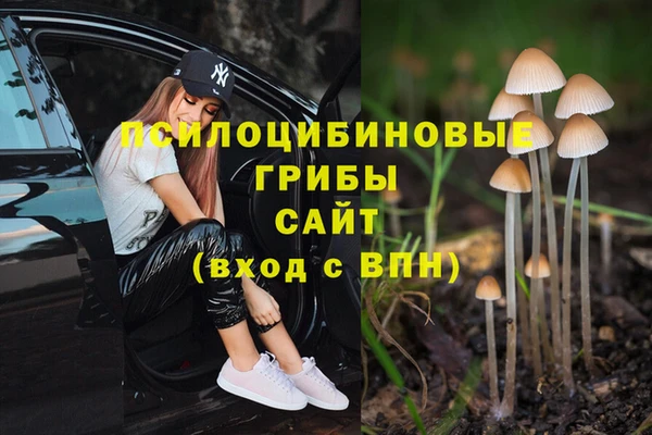 apvp Абдулино