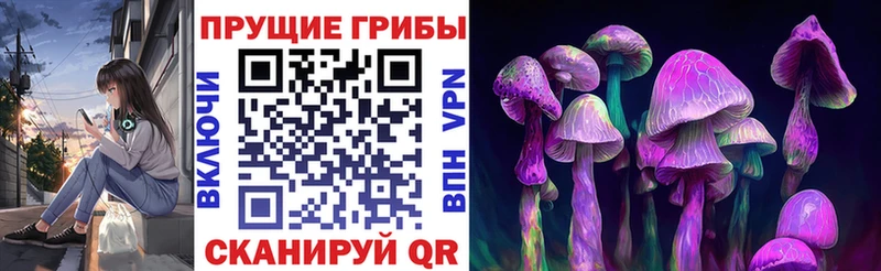 наркошоп  Красноармейск  Галлюциногенные грибы MAGIC MUSHROOMS 