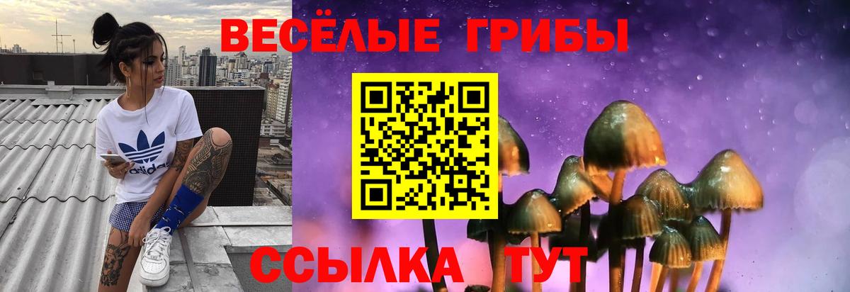 Псилоцибиновые грибы GOLDEN TEACHER Красноармейск