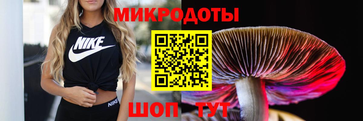 купить наркоту  Псилоцибиновые грибы мухоморы  Красноармейск  Вход с VPN  Галлюциногенные грибы ЛСД 